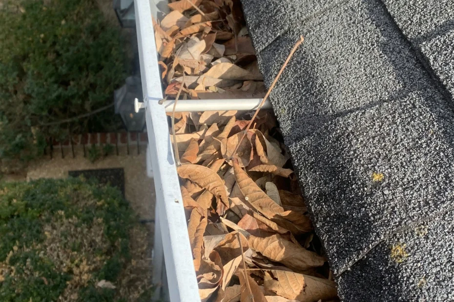 Gutter Cleaning Dade City FL