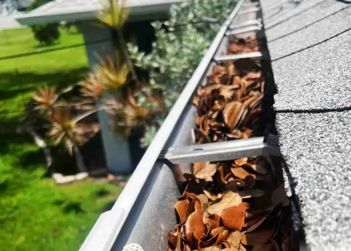 Gutter Cleaning Dade City FL home page